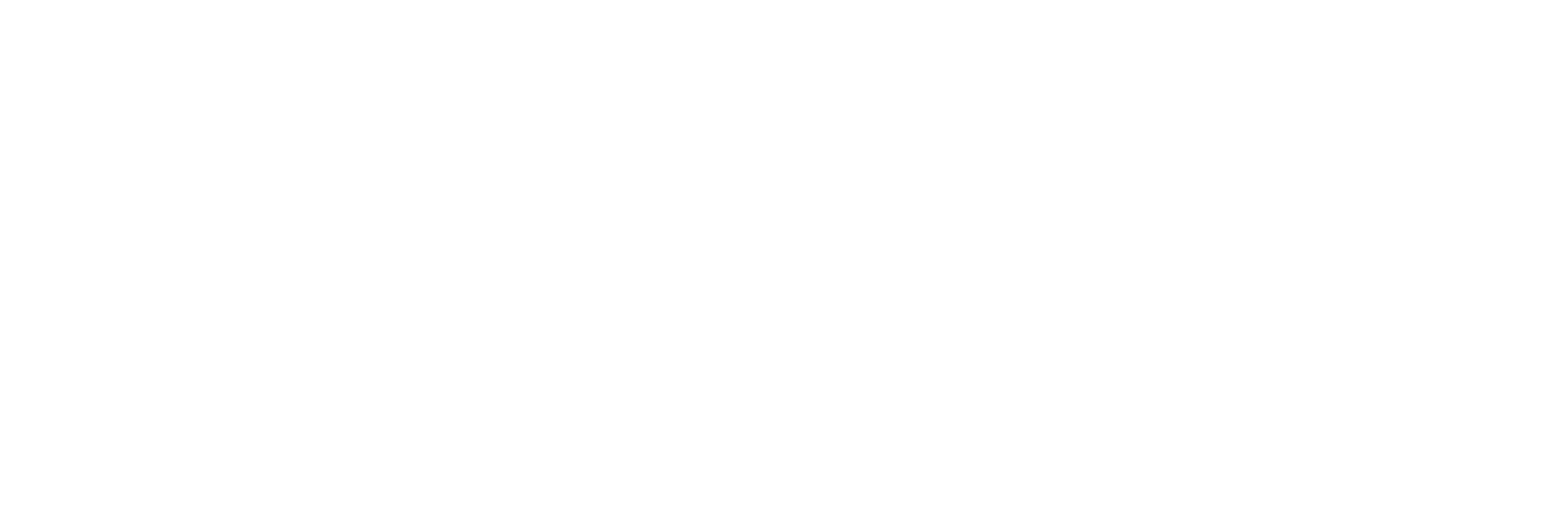 Fides Logo Title Light